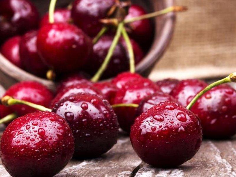 Вишня купить саженцы из питомника в Тольятти